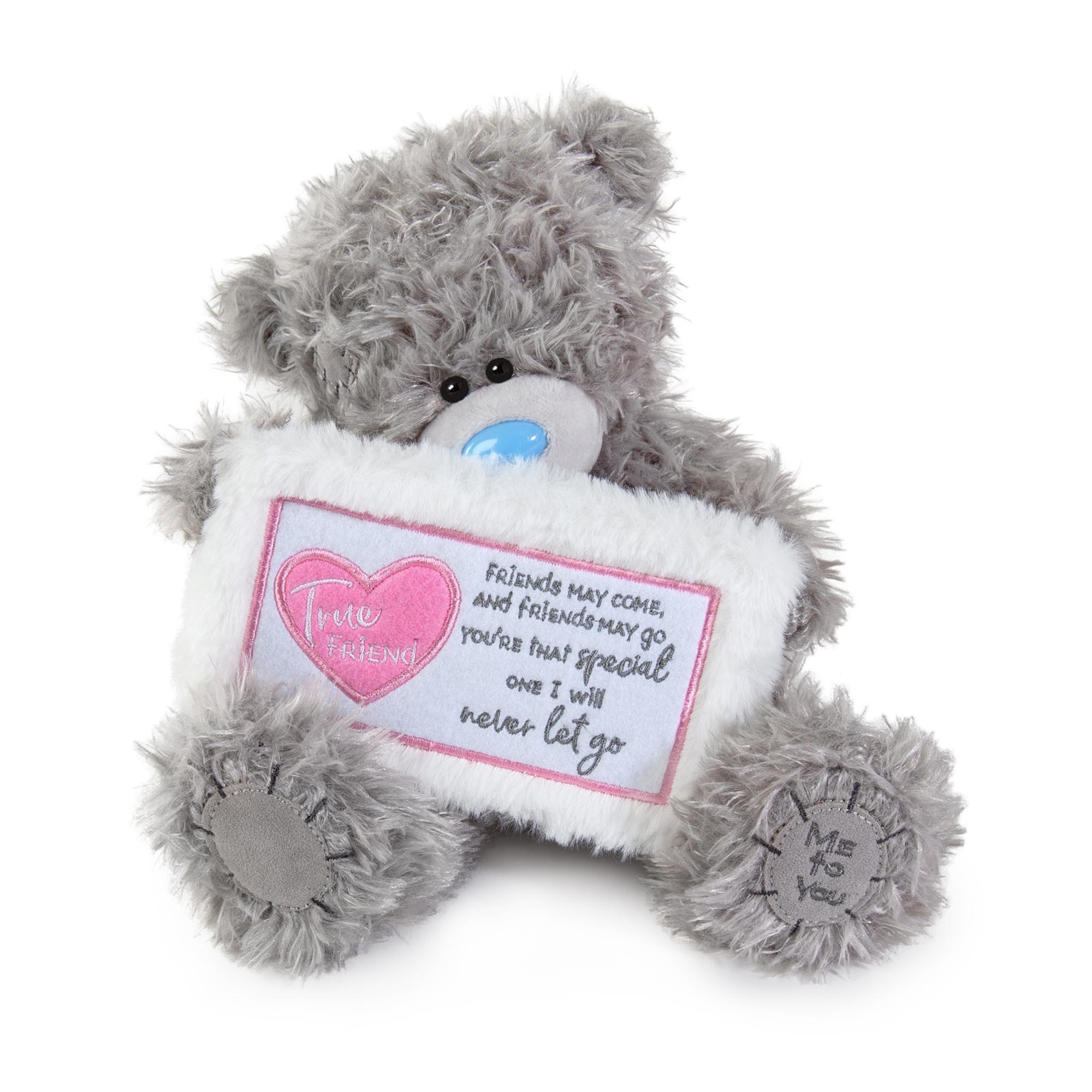 Me to You Tatty Teddy True Friend Plush