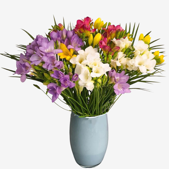 Just Freesias Flower Bouquet